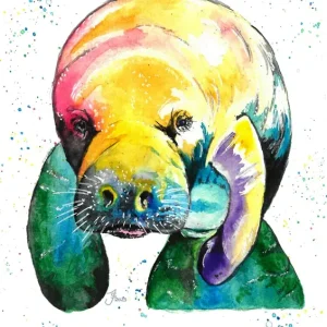 "Zeekoe" posters & art prints door Jana Schmischke - Premium Poster - 50x70 Livraison Express