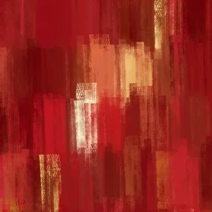 Abstracte rode monochrome kunst posters & art prints door Bilge Paksoylu - Premium Poster - 50x70 Petit Prix