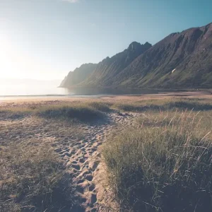 Zonsondergang op Senja posters & art prints door Lena Wiik - Premium Poster - 50x70 Acheter Direct