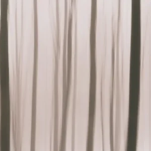 Abstract impressionistisch bos posters & art prints door Bilge Paksoylu - Premium Poster - 50x70 Prix Cassé