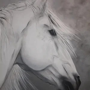 Achat Immédiat Paard posters & art prints door Gesa Hooß - Premium Poster - 50x70