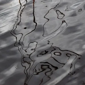 Zich verbeelden posters & art prints door Siv Domeij - Premium Poster - 50x70 Petit Prix