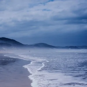 Achat Immédiat Chintsa posters & art prints door Isabell N Wedin - Premium Poster - 50x70