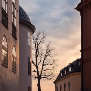 Zonsondergang en boom in oude stad posters & art prints door Jing Liu - Premium Poster - 50x70 Achat Immédiat