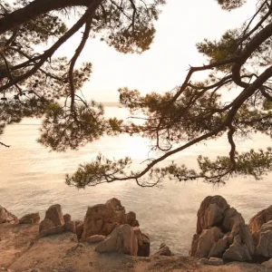 Aan het water posters & art prints door Viktor Tägt Ring - Premium Poster - 50x70 Prix Promo