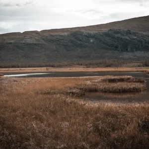 Achat Immédiat Herfstwandeling naar Kebnekaise posters & art prints door Oscar Söderlund - Premium Poster - 50x70