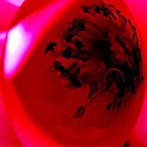 Achat Immédiat Flora collectie: Magic Red posters & art prints door Sara Magnusson - Premium Poster - 50x70