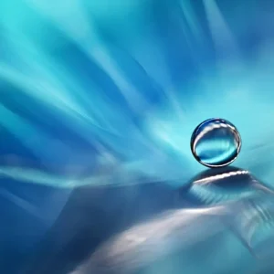 Zen-zone posters & art prints door heidi westum - Premium Poster - 50x70 Offre Exclusive