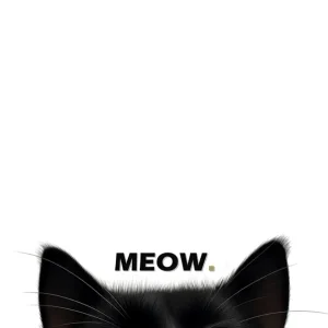 Zwarte kat. Miauw. posters & art prints door Maximilian Richter - Premium Poster - 50x70 Jusqu’à Épuisement Des Stocks