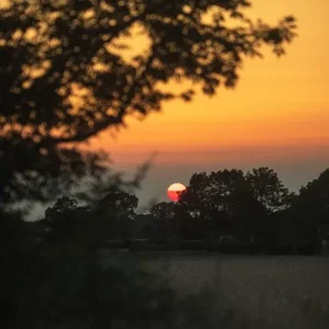 Zonsondergang over de velden posters & art prints door Henrik Sjöberg - Premium Poster - 50x70 Promotion Saisonnière