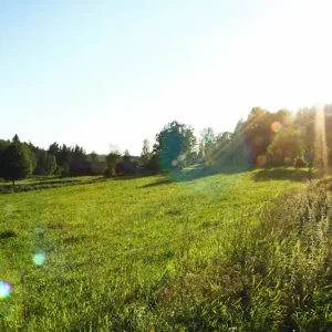 Zweedse zomer posters & art prints door Max Claesson - Premium Poster - 50x70 Nouvelle Collection