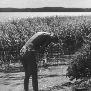 ZWEEDSE ZOMER posters & art prints door ANGELICKPICTURE - Premium Poster - 50x70 Achetez Aujourd’hui