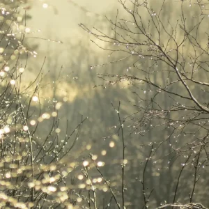 zonsondergang posters & art prints door ammar mawaldi - Premium Poster - 50x70 Meilleur Choix