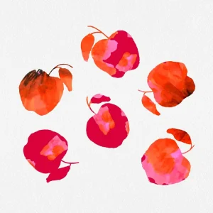 Zoete appels posters & art prints door Michele Channell - Premium Poster - 50x70 Commander Vite