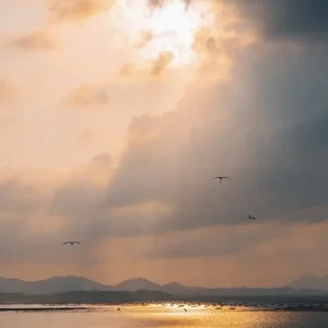 Zonsondergang posters & art prints door Keana Masha - Premium Poster - 50x70 Satisfait Ou Remboursé