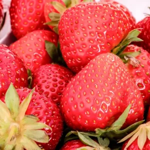 Aardbeien posters & art prints door Björn Djerf - Premium Poster - 50x70 Affaire À Saisir