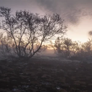 Zonsondergang boven Rondane National Park posters & art prints door Magnus Persson - Premium Poster - 50x70 Affaire À Saisir