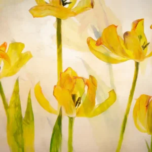 Zonverlichte tulpen: Een Aanraking met de Lente posters & art prints door Nel Talen - Premium Poster - 50x70 Populaire