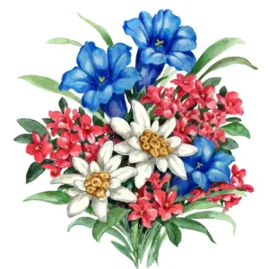 Achat Immédiat Bouquet with Blue Gentian White Edelweiss and Red Flowers posters & art prints door Renate Holzner - Premium Poster - 50x70