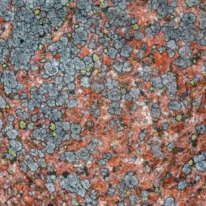 Achat Immédiat Lavar på sten posters & art prints door Gert Olsson - Premium Poster - 50x70