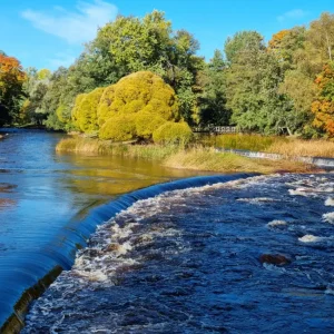 A beautiful autumn day posters & art prints door Anders Jonsson - Premium Poster - 50x70 Commander Vite