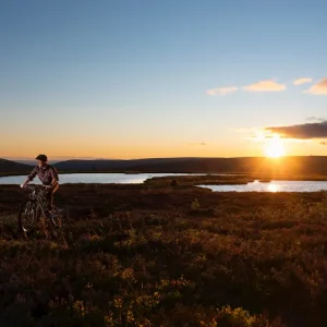 Mountainbiken bij Östfjället posters & art prints door Mattias Frenne - Premium Poster - 50x70 Nouvelle Collection