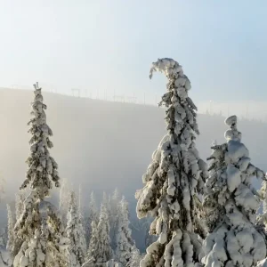 Alp posters & art prints door Mattias Frenne - Premium Poster - 50x70 Achetez Aujourd’hui